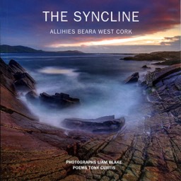 Tony Curtis, The Syncline Book Cover