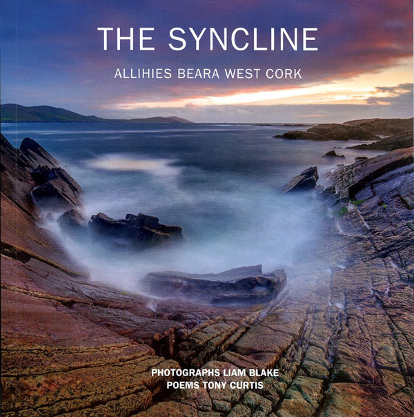 Tony Curtis - The Syncline - Book Cover