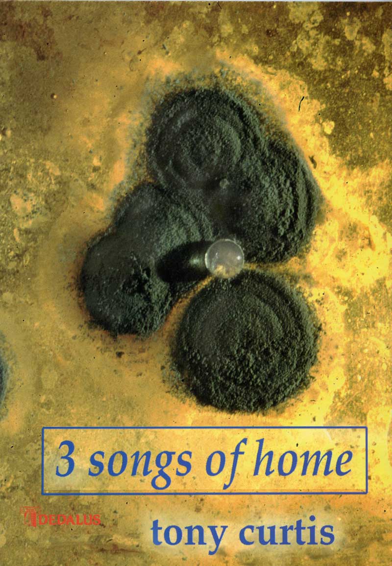 Tony Curtis, Three Songs from Home, Book Cover