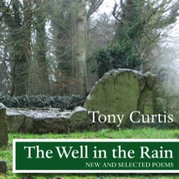 Tony Curtis, The Well in the Rain, book cover